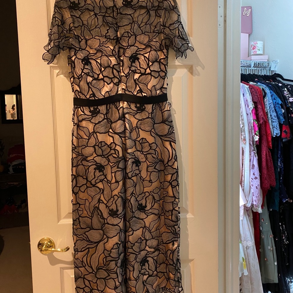 JS Collections Lace Midi Dress - Picture 3 of 4